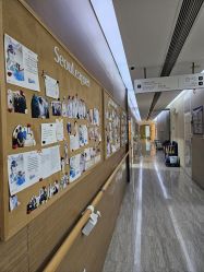 -上海首尔丽格医疗美容医院