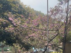 -天怡·鱼工厂(梅溪湖店)