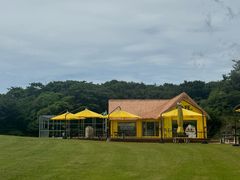 -济州森林小火车生态公园
