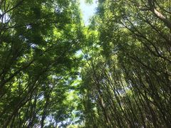 -同里国家湿地公园