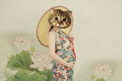 -暖摄影 孕妇写真家庭影像馆 (自然光主题店)