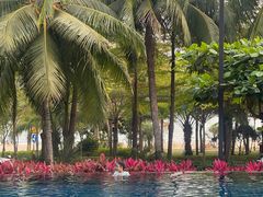 -三亚湾海居铂尔曼度假酒店