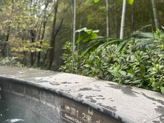 -溧阳天目湖天沐温泉