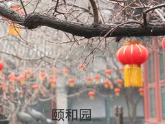 -颐和园