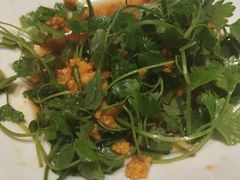 海胆娃娃芹-颐和•海鲜砂锅粥•啫啫煲(奥林匹克广场店)
