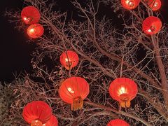 -淄博花灯齐彩城