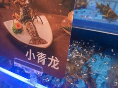 -海底捞火锅(长宁路龙之梦店)