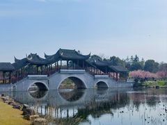 -上海海湾国家森林公园