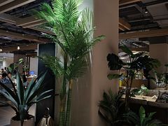 -太阳谷汤泉(市府店)