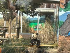 -苏州太湖国家湿地公园