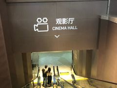 -星河寰宇IMAX影城(星河WORLD·COCO Park店)
