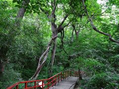 -大蜀山国家森林公园