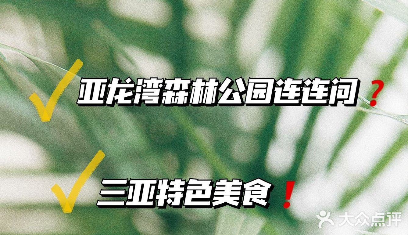 三亚旅游攻略✨亚龙湾森林公园🌲的专场篇