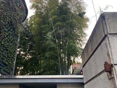 -穹六人间 people 6(岳阳路店)