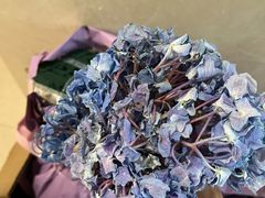 -沪花拾者(好再来花卉鲜花店)