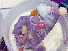 -喜乐村芋泥脑袋家族(三里屯店)