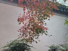 -秋霞圃