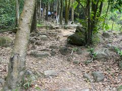 -火炉山森林公园