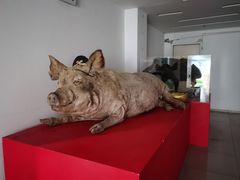 -昆明动物博物馆