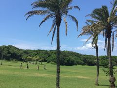 -鹅銮鼻公园