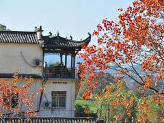 -塔川景区