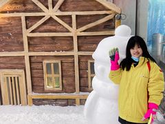 -世界之窗阿尔卑斯冰雪世界