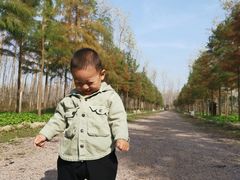 -合肥滨湖国家森林公园