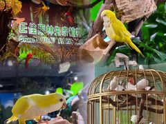 -正佳雨林生态植物园