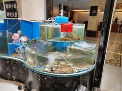 -四海蒸鲜蒸汽海鲜自助(北戴河店)