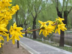 -元大都城垣遗址公园