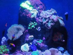 -成都浩海立方海洋公园