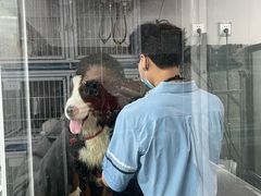 -宠物家(大兴旧宫店)