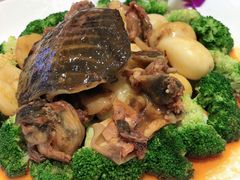 -皇轩大饭店(观音桥店)