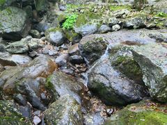 -白云源风景区