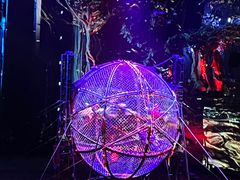 -广州长隆国际大马戏