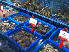 水产区-必点海鲜·鲅鱼水饺(鞍山西道店)