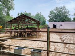 -青藏高原野生动物园