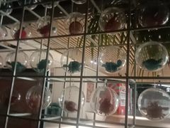 -赖胖子肉蟹煲(新华城市广场店)