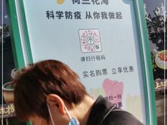 -荷兰花海