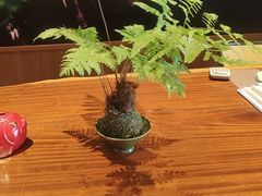 -久宴·天目湖大鱼头(恐龙园店)
