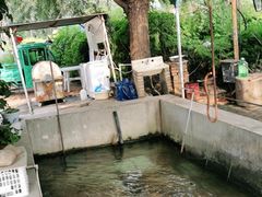 -北京龙庆四季香农家饭庄·灶台鱼·碳烤虹鳟鱼(龙庆峡店)