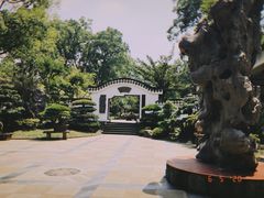 -南山植物园