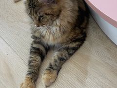 -1013 PET SHOP 宠物商店(近铁城市广场店)