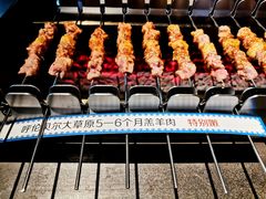 -很久以前羊肉串(京汉店)