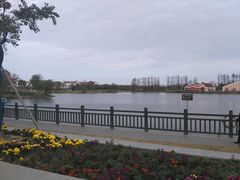 -上海长兴岛郊野公园