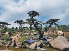 -罗红摄影艺术馆