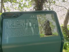 -外蒲山