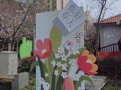 -高东镇樱花园