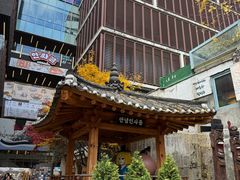-仁寺洞豆腐村
