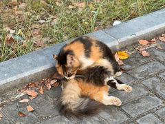 -华东政法大学(松江校区)